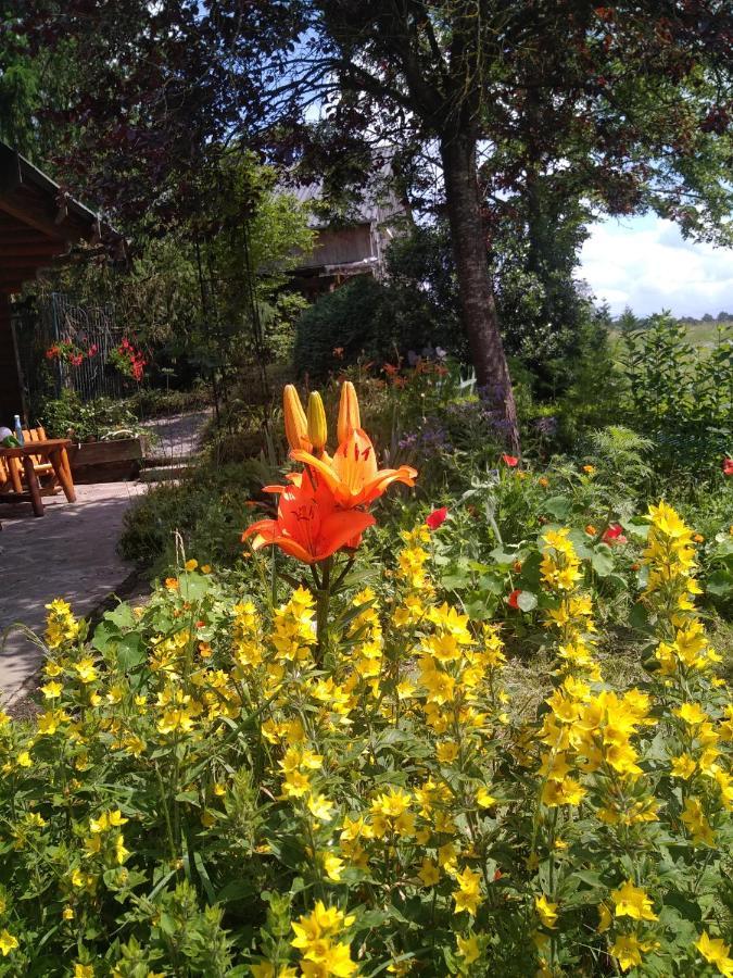 Chalet Le Paradou Adults Only Lessive Экстерьер фото