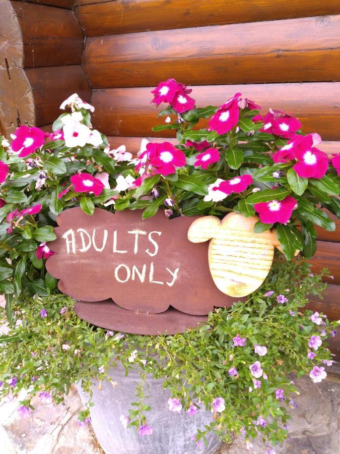 Chalet Le Paradou Adults Only Lessive Экстерьер фото
